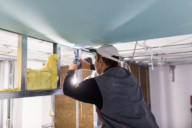 Best Cellulose Insulation  in Basye, VA