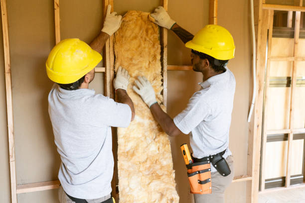Best Insulation Inspection Services  in Basye, VA