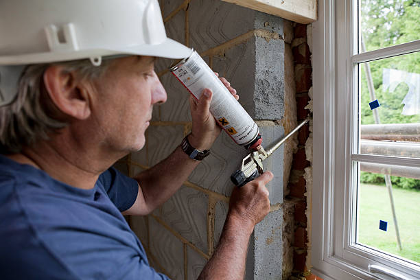Best Home Insulation Services  in Basye, VA