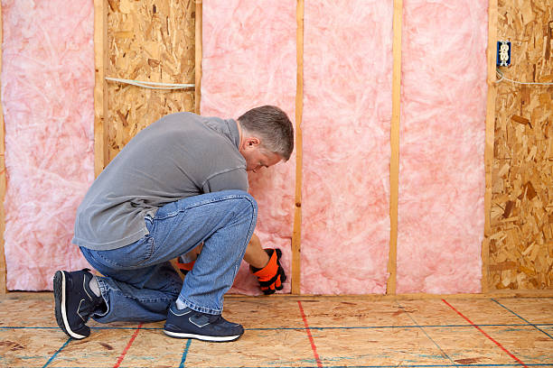 Best Fiberglass Insulation  in Basye, VA