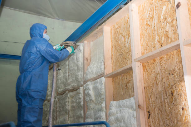 Best Insulation Contractors for Homes  in Basye, VA