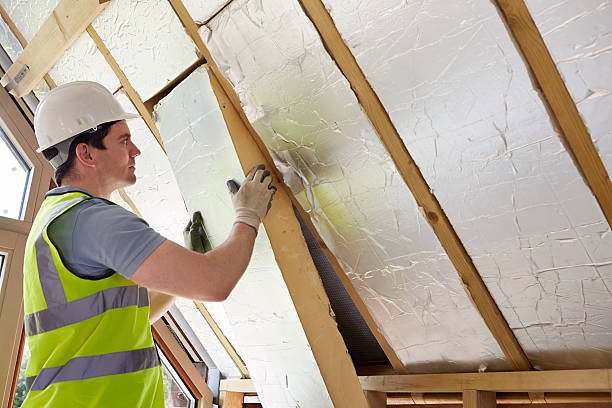 Best Blown-in Insulation  in Basye, VA